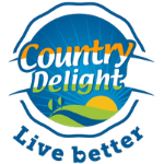 Google Analytics_20260217_155240_0000